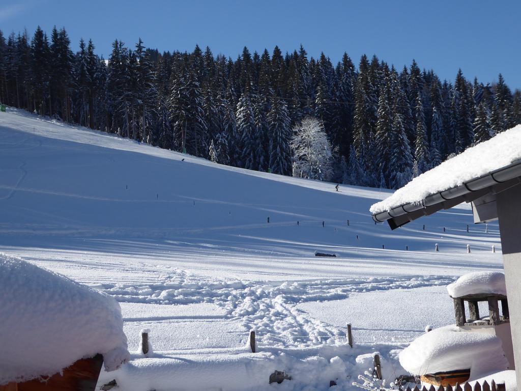 Birnhornblick Appartement Leogang Buitenkant foto